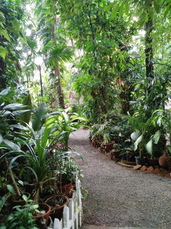 Green Woods Bethlehem Kochi Extérieur photo