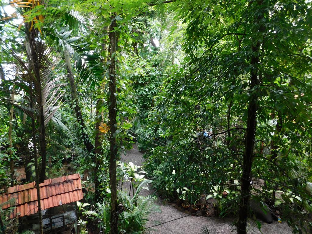 Green Woods Bethlehem Kochi Extérieur photo