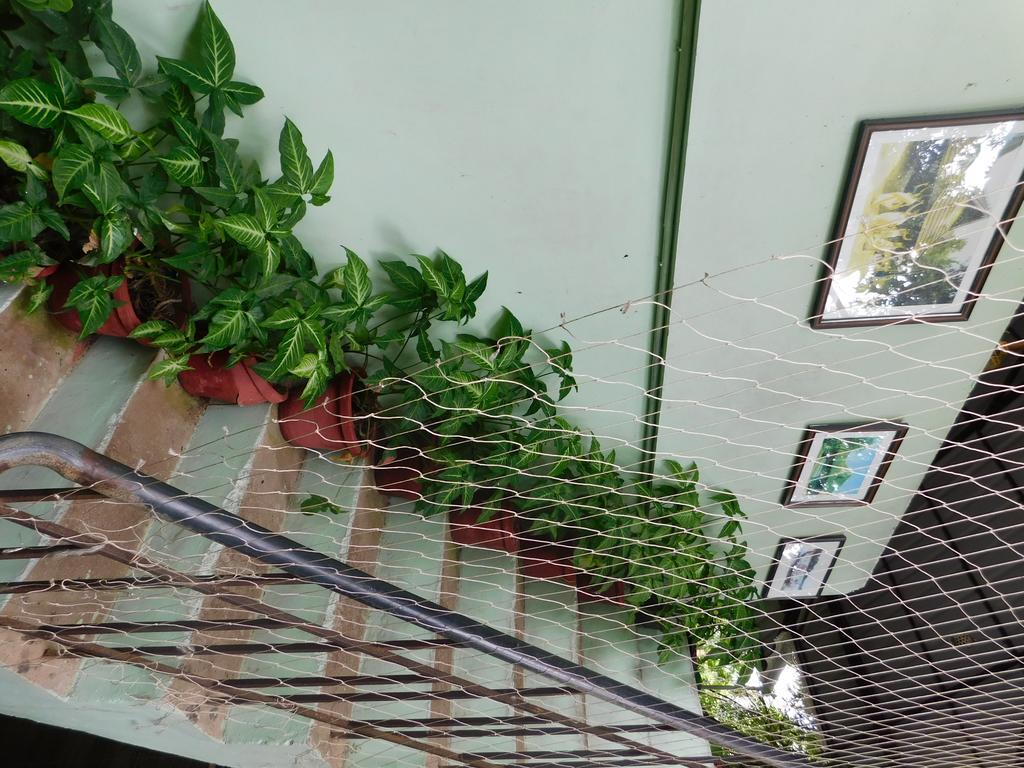 Green Woods Bethlehem Kochi Extérieur photo